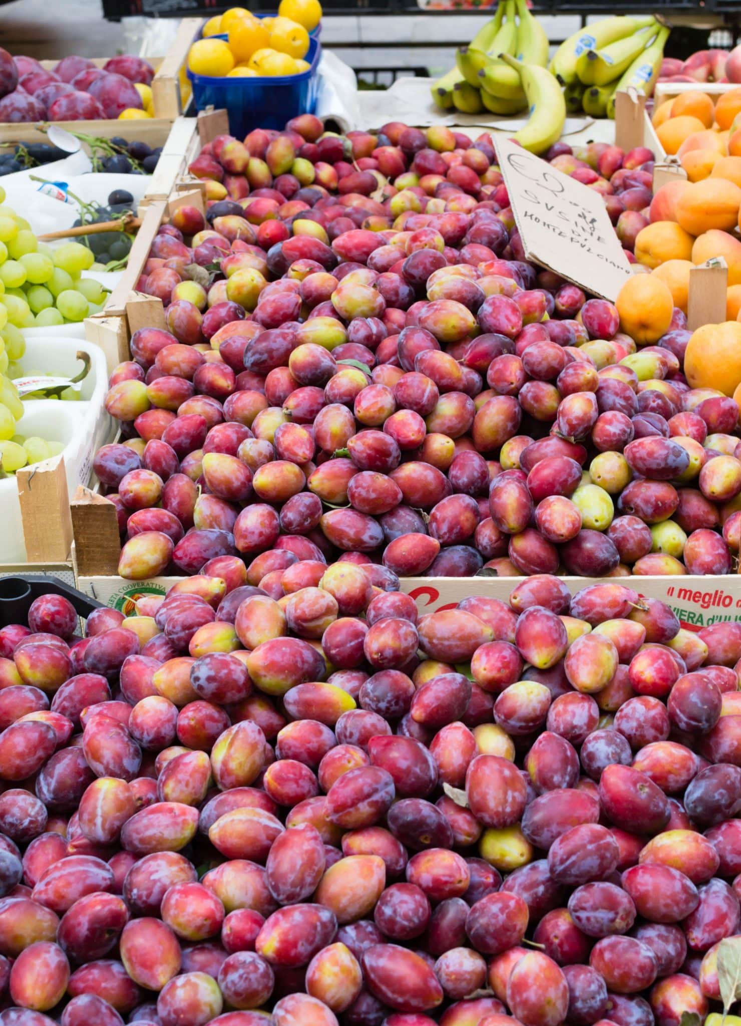 Market day in Cortona