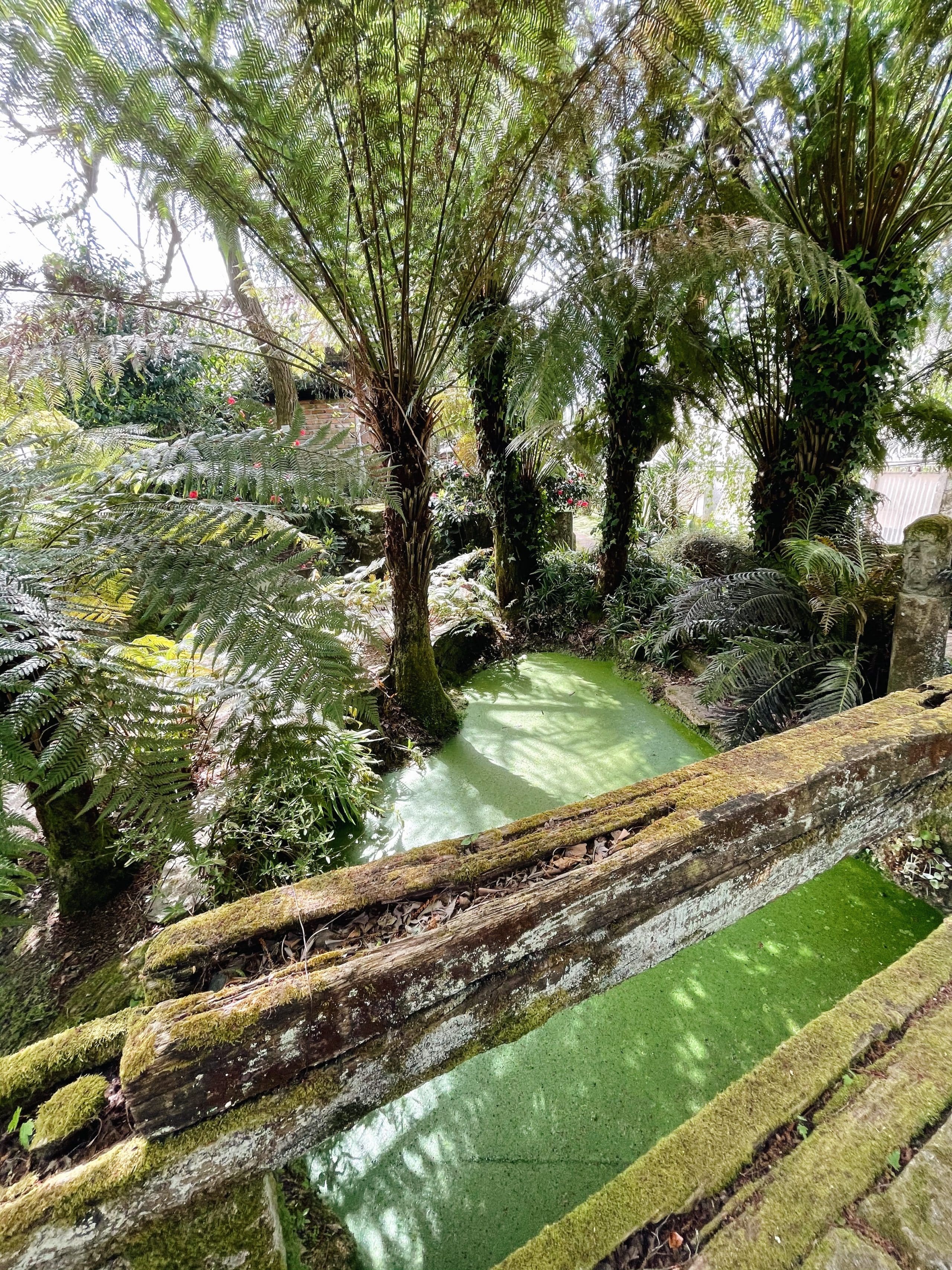 Botanical garden