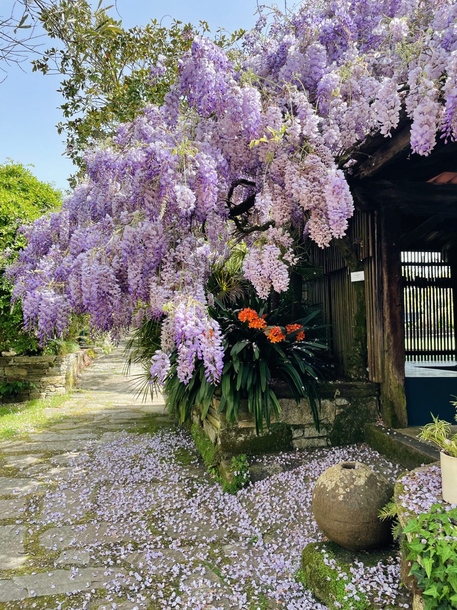 Jardín botánico Vigo