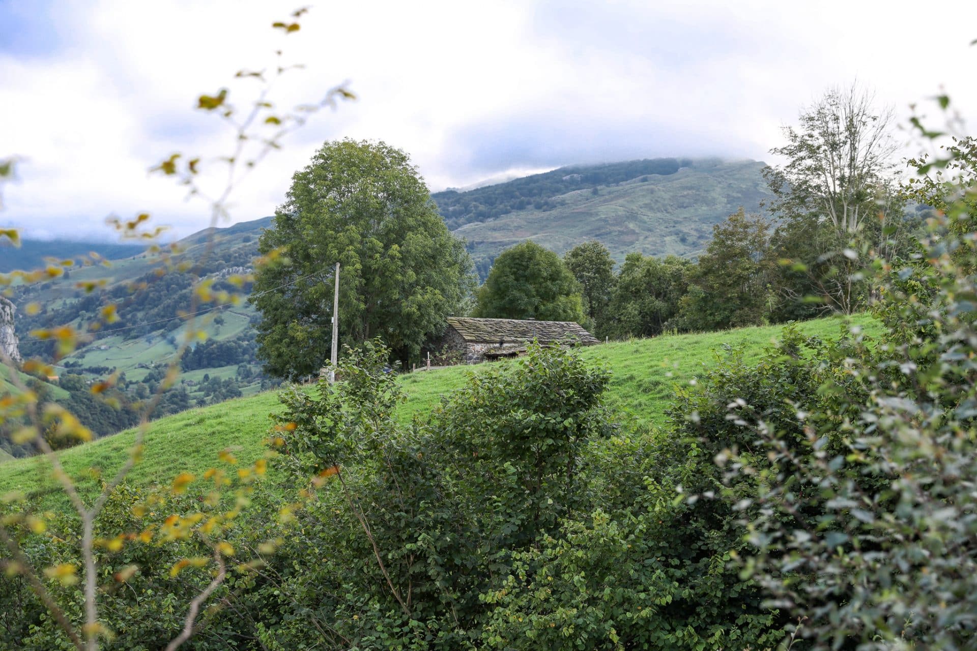 Cabañas Cantabria