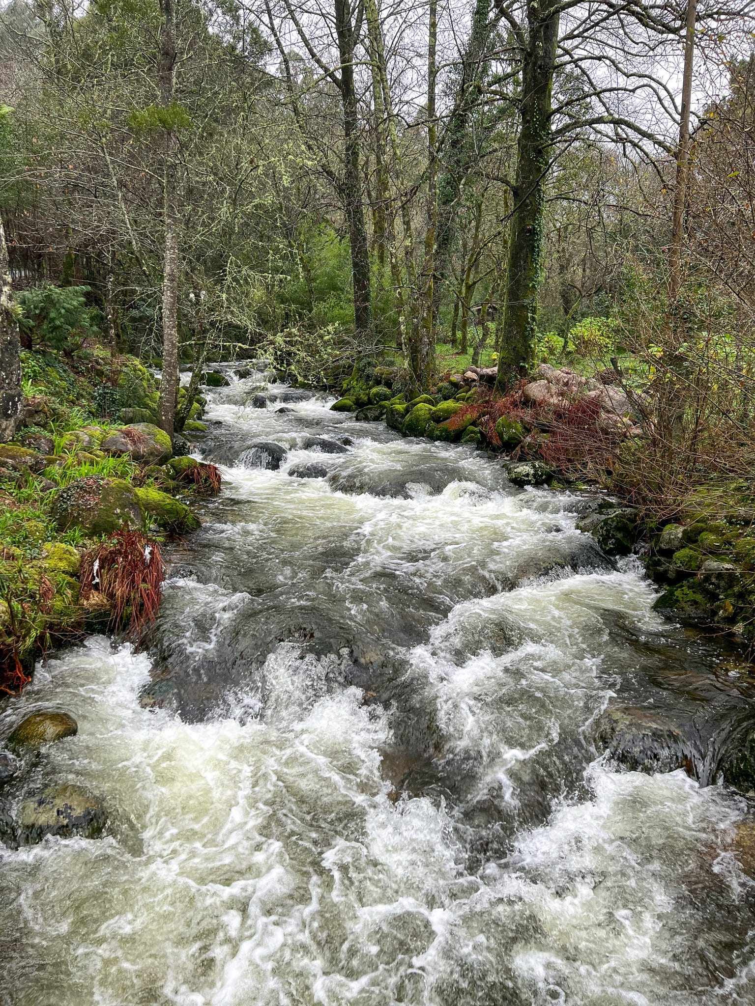 Río Pedras